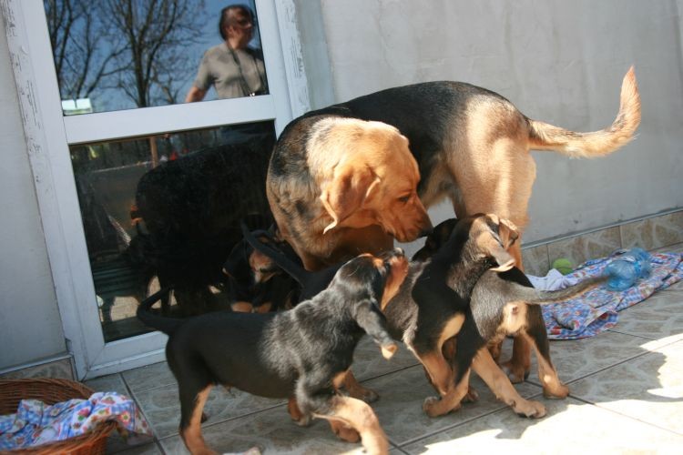 szczytna 041.jpg
