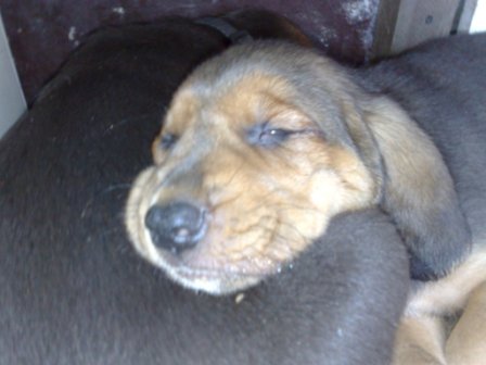 290420101223.jpg