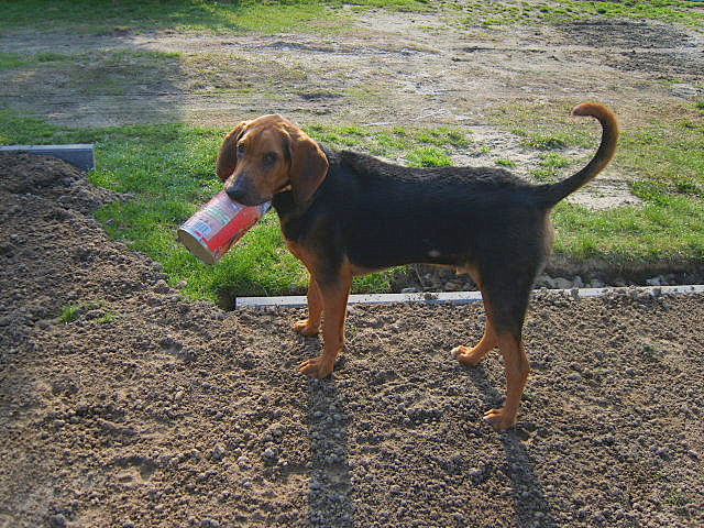 KUSY I SZAFIR 2010 005.jpg