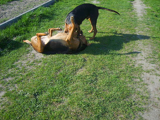 KUSY I SZAFIR 2010 041.jpg
