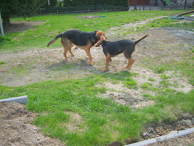 KUSY I SZAFIR 2010 026.jpg