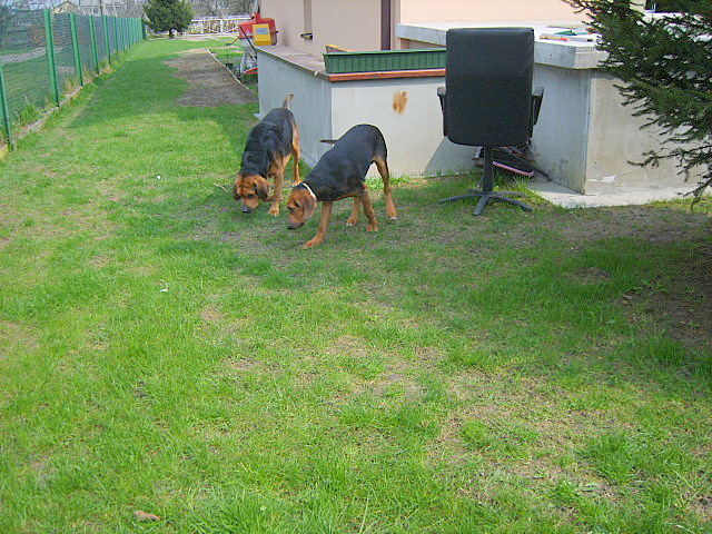KUSY I SZAFIR 2010 028.jpg