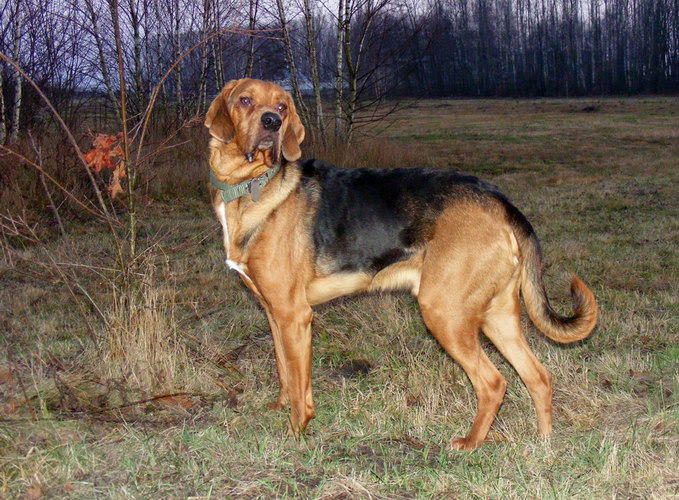teoś1.jpg