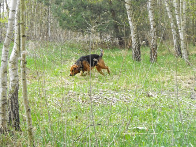 DSCF5028.JPG