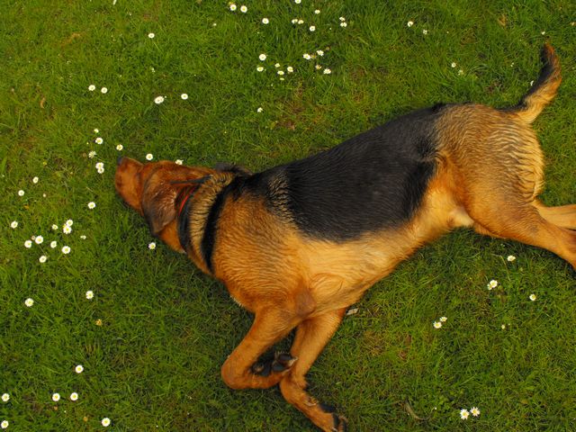 DSCF5086.JPG