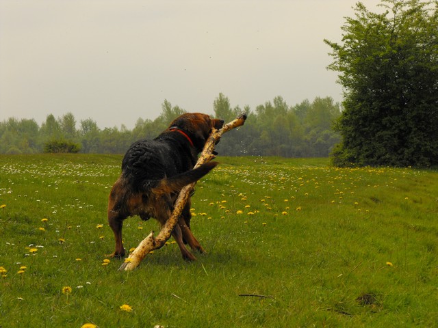 DSCF5094.JPG