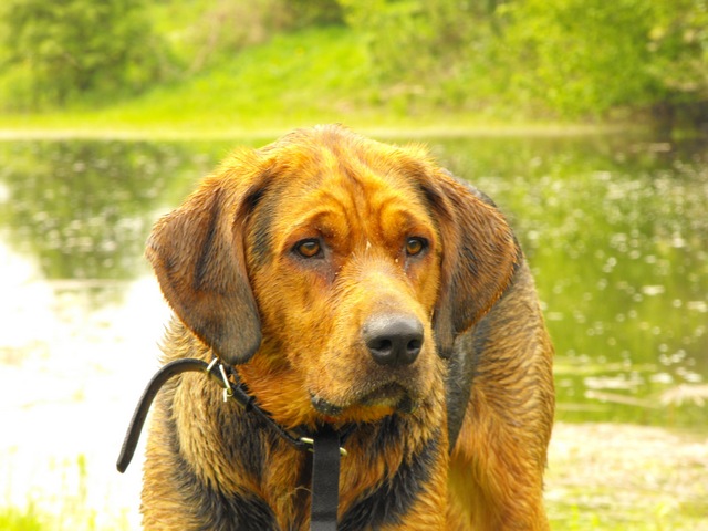 DSCF5101.JPG