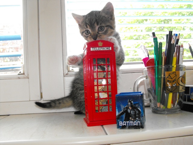 DSCF5160.JPG