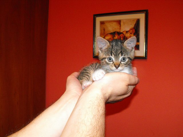 DSCF5191.JPG