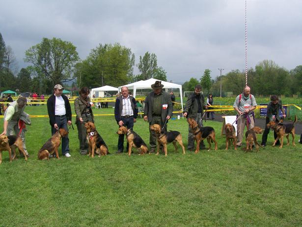 Gama ,Cytra ,Lokis,Diuna,Bruder ,Fiord,Setka ,Rumak?,Orfo ,wszystkie ogry i ogarki z nienaganną linią !