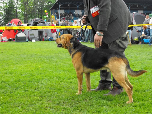 DSCF5040.JPG