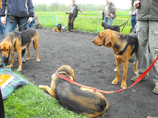 DSCF5042.JPG