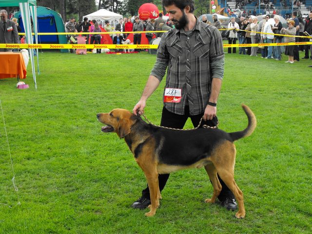 DSCF5052.JPG