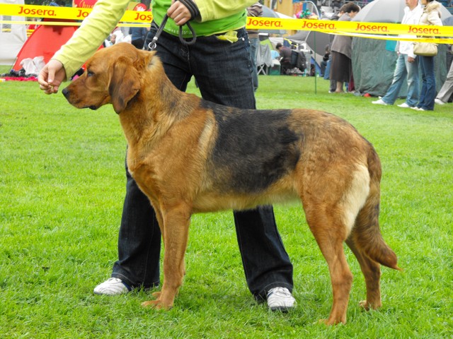 DSCF5059.JPG