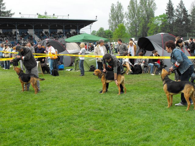 DSCF5078.JPG
