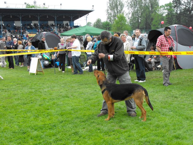 DSCF5017.JPG