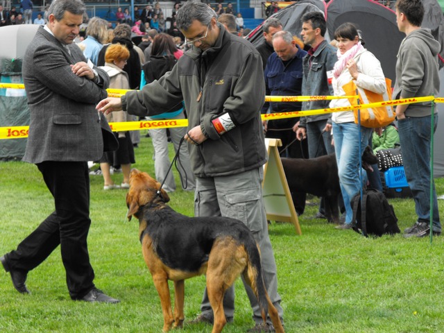 DSCF5079.JPG