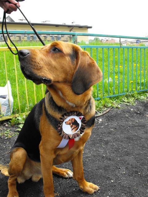 DSCF5081.JPG