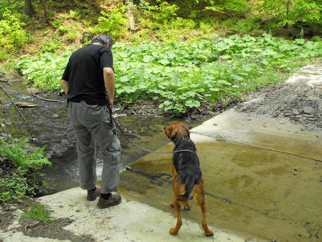 DSCF5094.JPG
