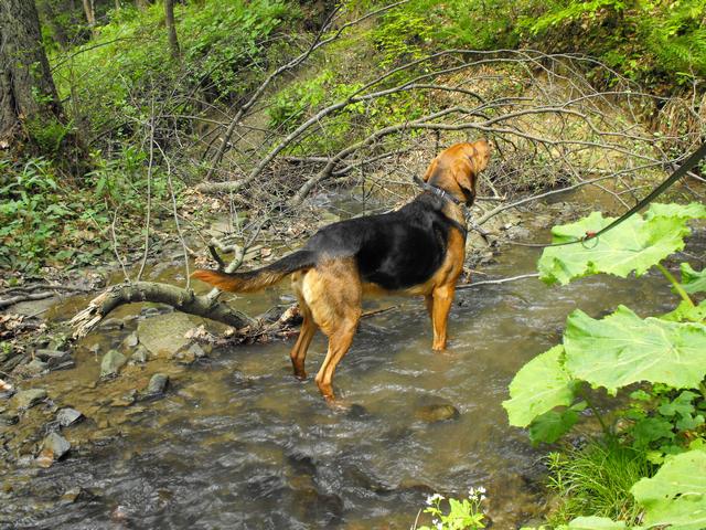 DSCF5098.JPG