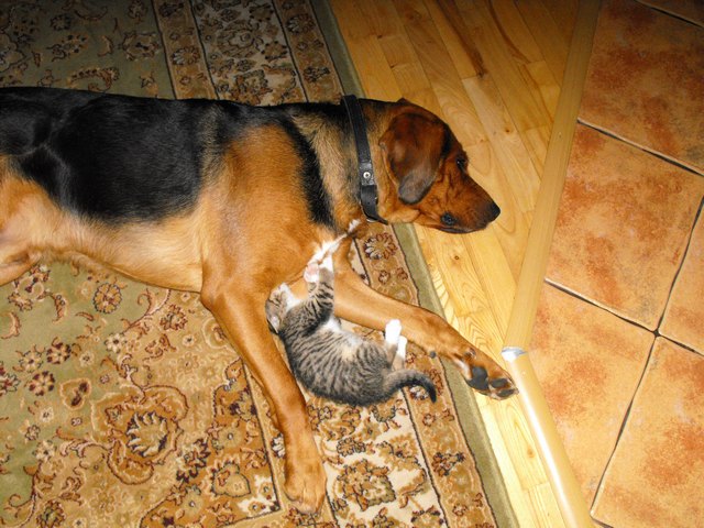 DSCF5005.JPG