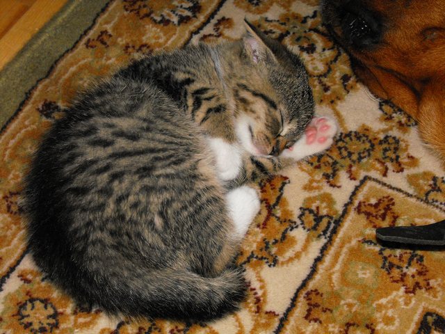 DSCF5024.JPG