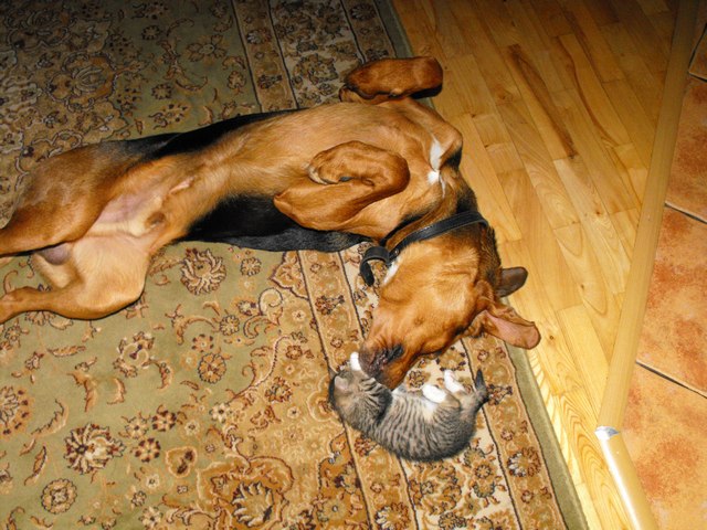 DSCF5008.JPG