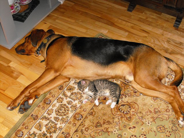 DSCF5037.JPG