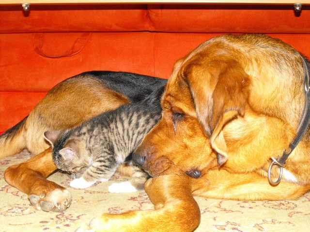 DSCF5159.JPG
