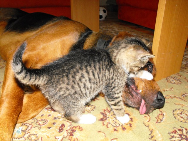 DSCF5169.JPG