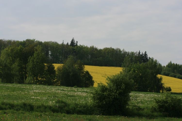 Szczyt Kalinki z bliska