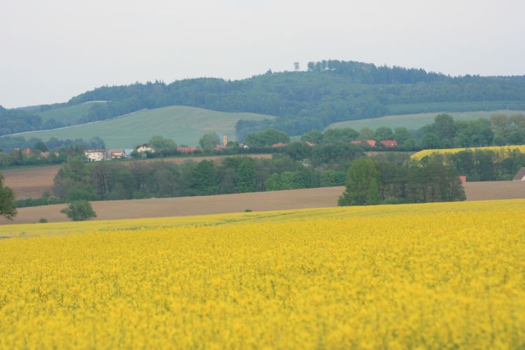 Niemczańskie Wzgórza.
