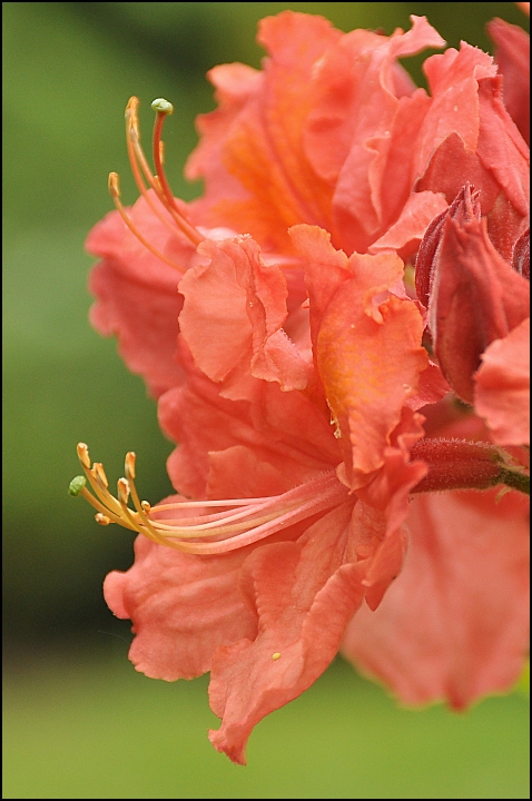 5.720.2010.05.15 068.jpg