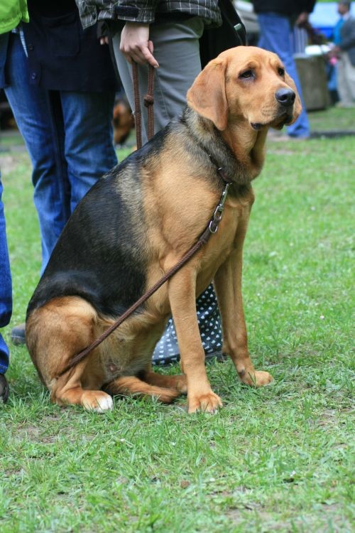 ŁUNA