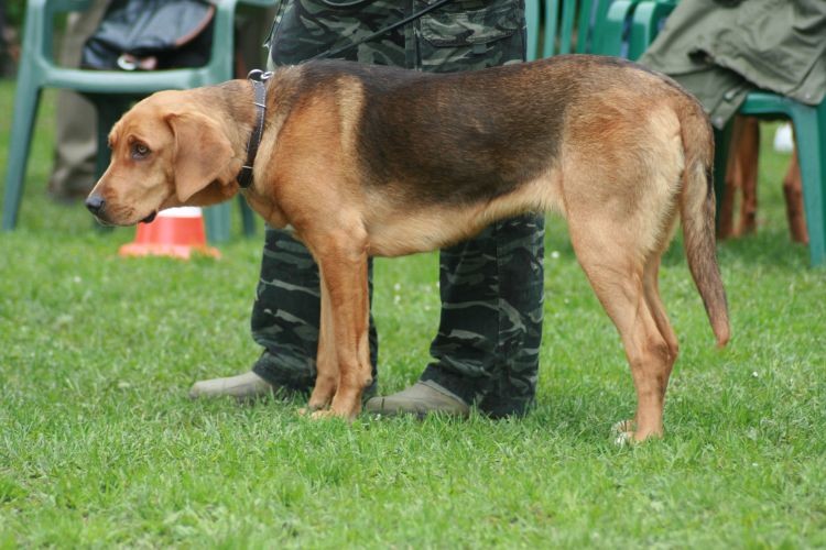 ŁEZKA