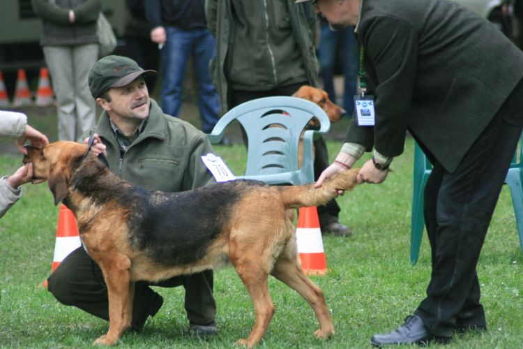 ŁOWNA
