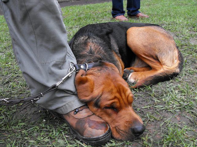 DSCF5115.JPG