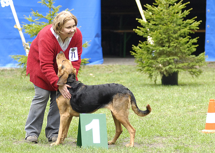 small_NIK4953.jpg