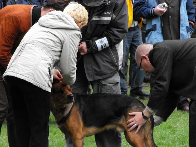 DSCF5007.JPG