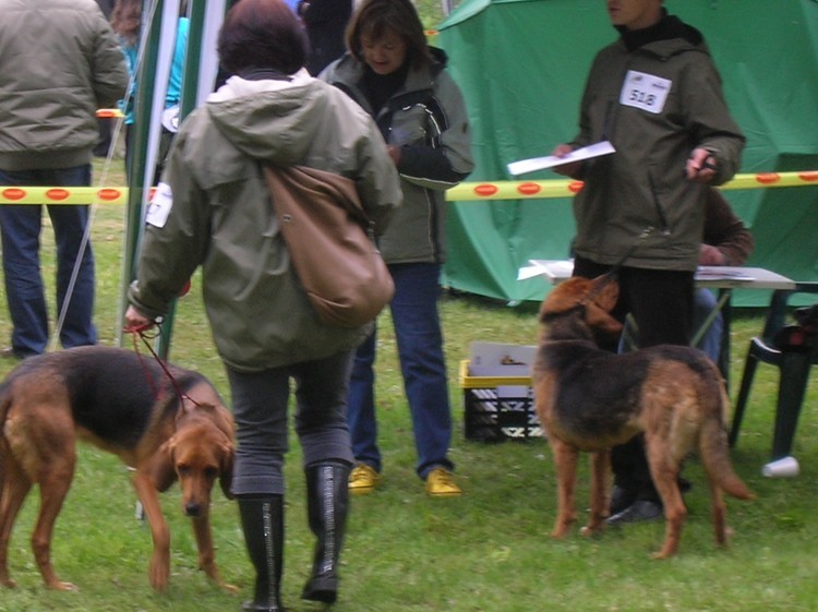 DSCN4106.JPG