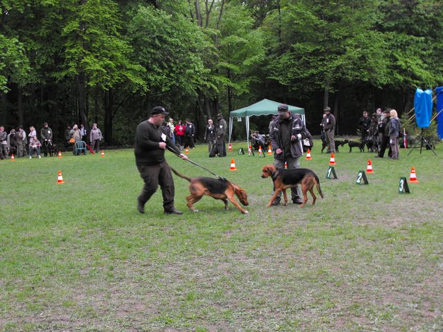 DSCF5019.JPG