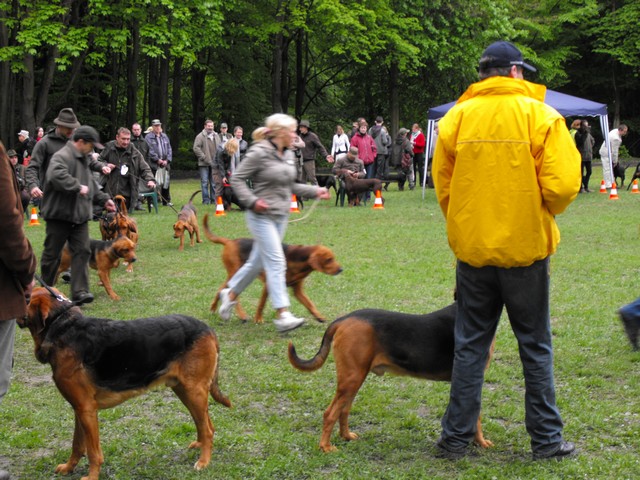 DSCF5110.JPG