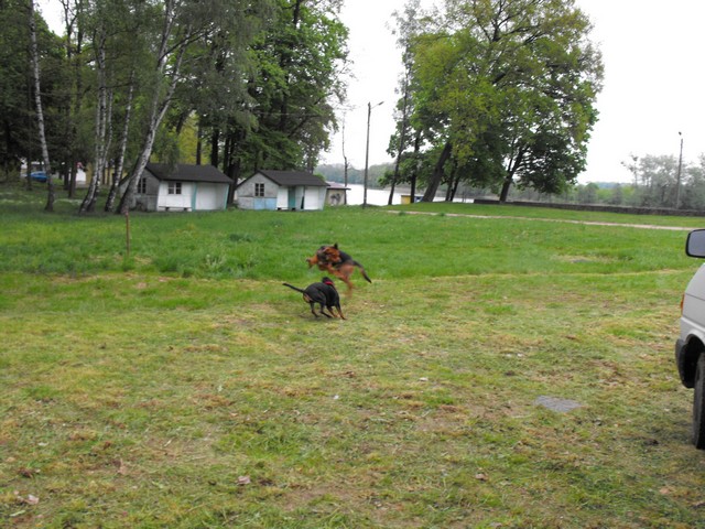DSCF5131.JPG