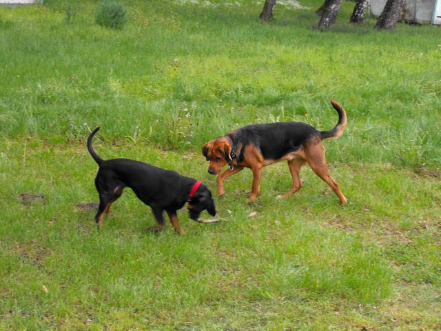 DSCF5145.JPG