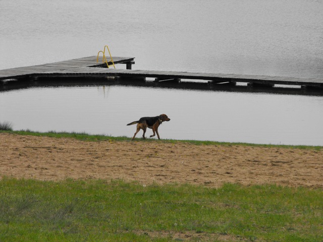 DSCF5146.JPG