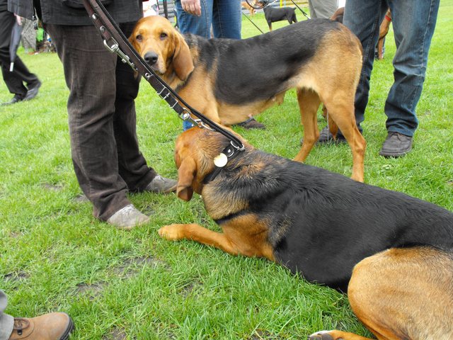 DSCF5177.JPG