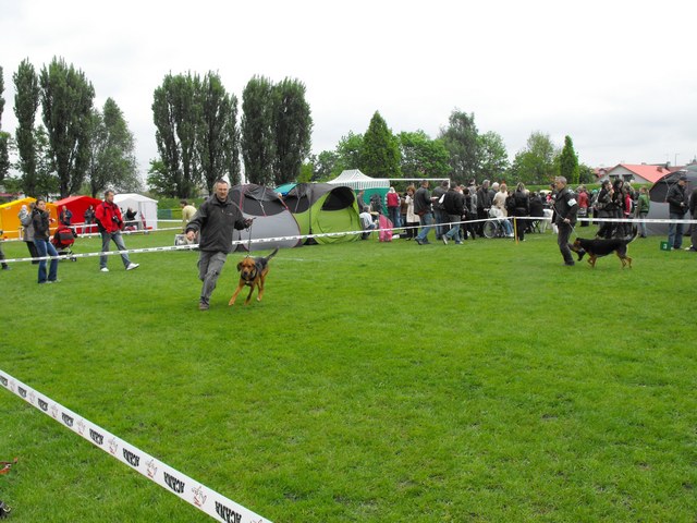 DSCF5184.JPG