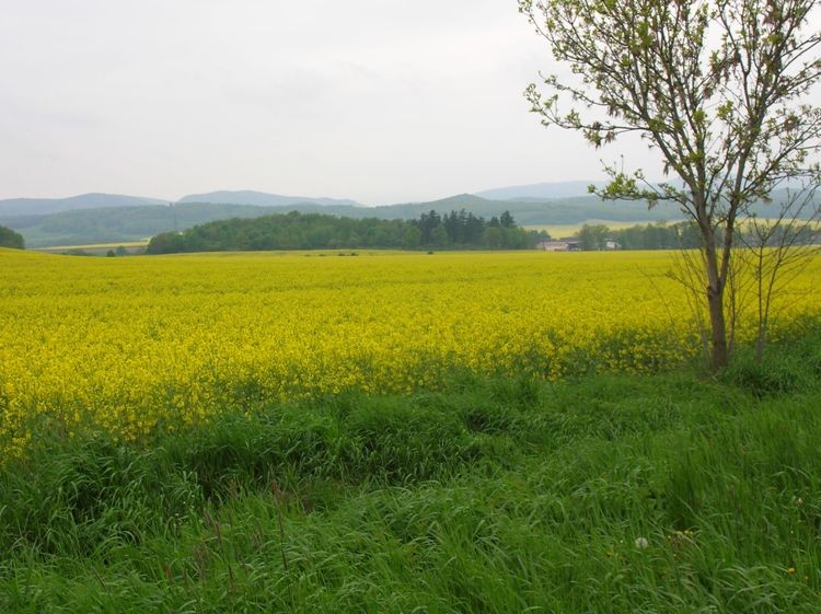 DSCN4109.JPG
