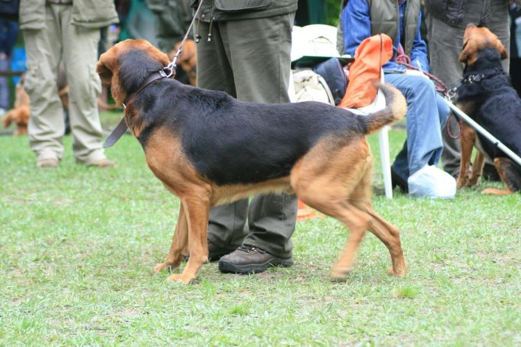 klubowa 2010 122.jpg