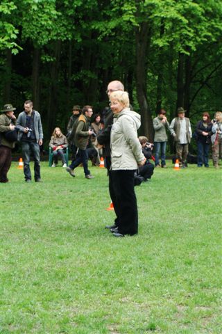 Którego ogara mam teraz ciągnąć za ogon
